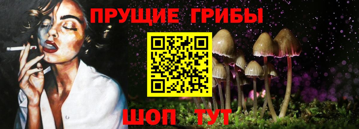 Качканар  Псилоцибиновые грибы мицелий  Вход с VPN  Галлюциногенные грибы прущие грибы 